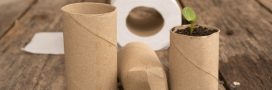10 astuces géniales pour recycler les rouleaux de papier toilette