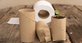 Idées pour recycler les rouleaux de papier wc