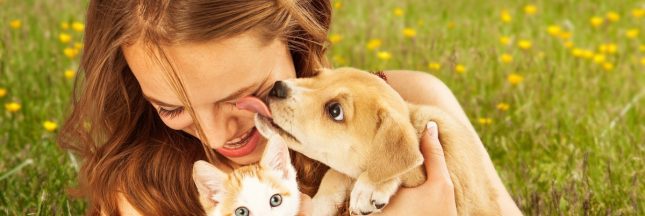 fleur de Bach animaux