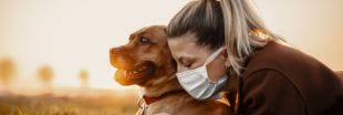 Peut-on transmettre un virus à son animal de compagnie ?