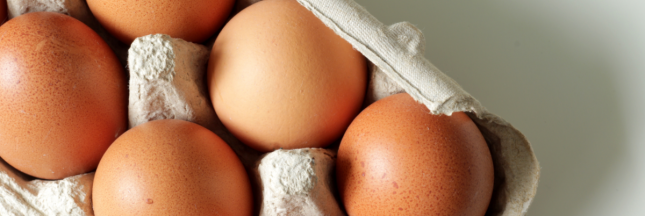 bien choisir ses oeufs