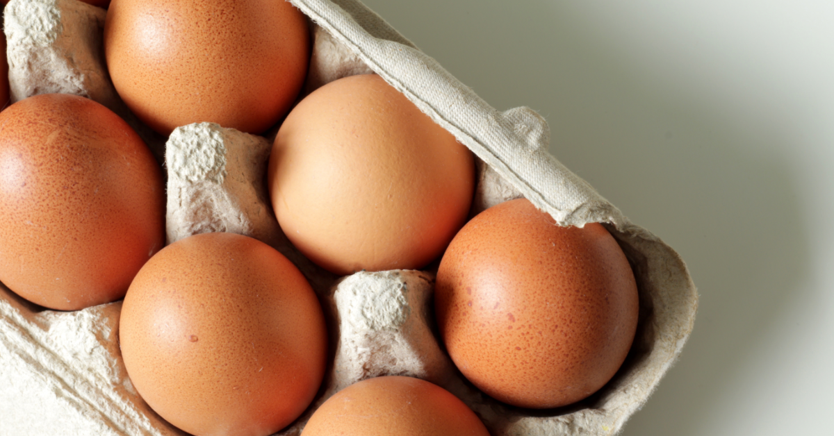 Comment bien choisir ses oeufs et éviter les pièges ? Fiche pratique