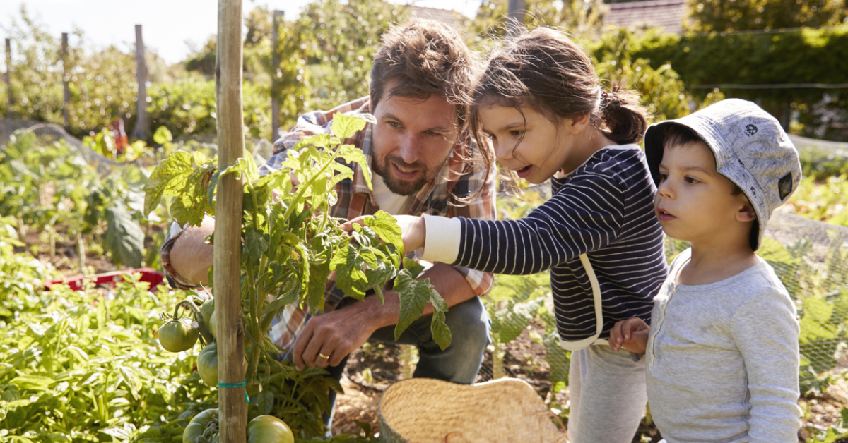 Que faire au potager avec les enfants au printemps ?