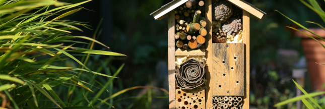 hôtel à insecte