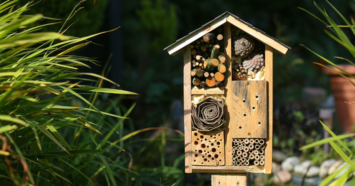 J'installe un hôtel à insectes dans mon jardin J'installe un hôtel à insectes dans mon jardin