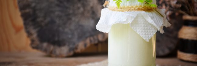 bienfaits du kefir