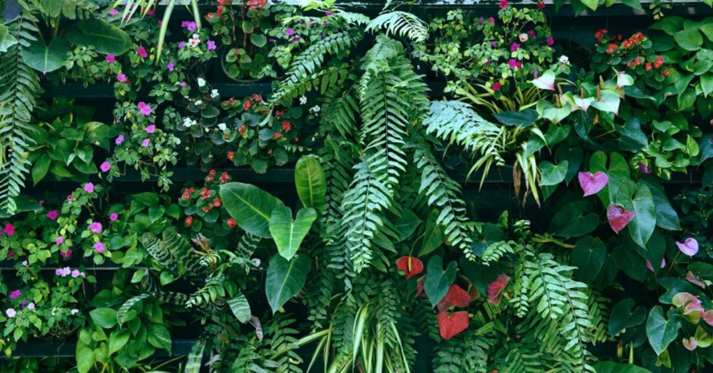 Créer un mur végétal sur son balcon pour profiter d’un coin de paradis vert !