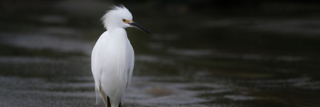 les zones naturelles protégées