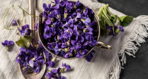 Bienfaits et plaisir des fleurs de violettes : pressez-vous !