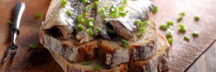 Recettes originales : que faire avec une boîte de sardines ? Recettes originales : que faire avec une boîte de sardines ?