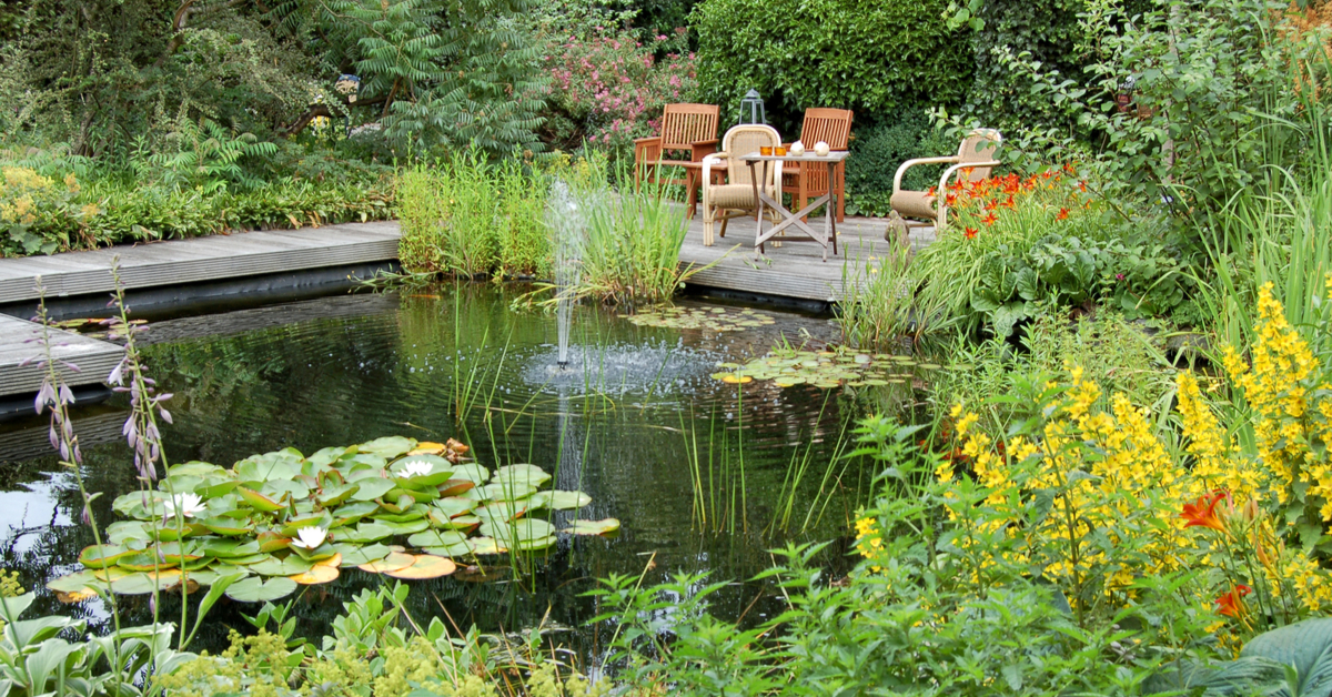 Jardin écologique. Comment créer une mare naturelle ?