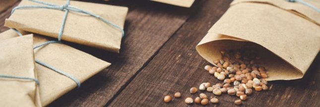 Comment faire germer des graines anciennes ?