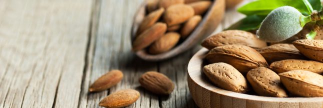 bienfaits amandes