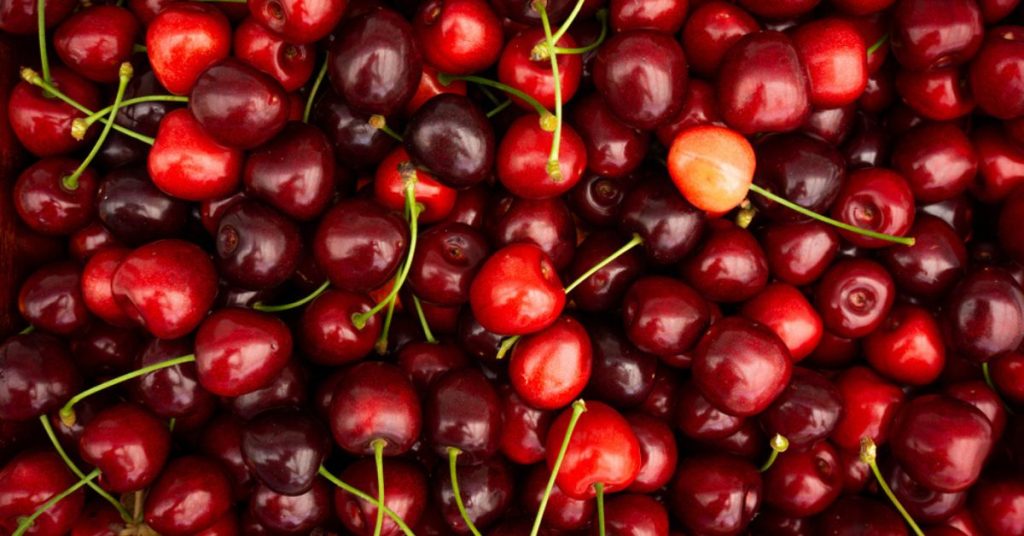 Bien choisir ses cerises et les conserver longtemps