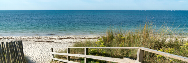 Des plages fermées cet été pour protéger faune et flore