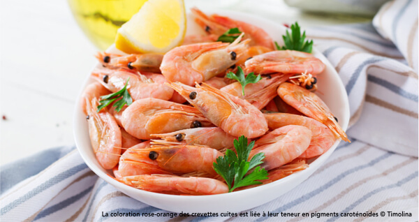 crevettes-astaxanthine_shutterstock_1175653291.jpg