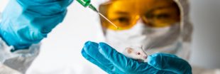 L'expérimentation animale est-elle nécessaire pour mettre fin à la crise du coronavirus ?