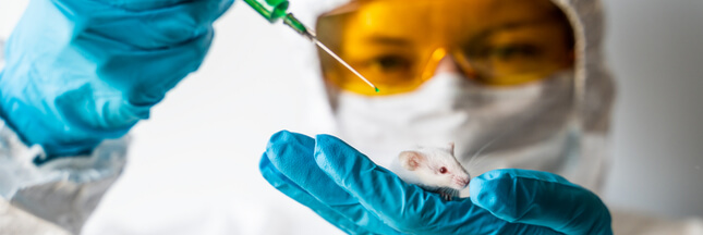 L’expérimentation animale est-elle nécessaire pour mettre fin à la crise du coronavirus ?