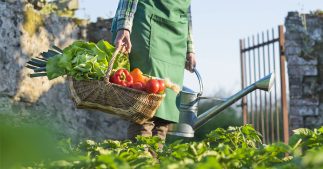Jardin bio : les 10 règles d'or pour jardiner sain Jardin bio : les 10 règles d'or pour jardiner sain