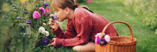 Comment et pourquoi démarrer un jardin de fleurs ? Comment et pourquoi démarrer un jardin de fleurs ?