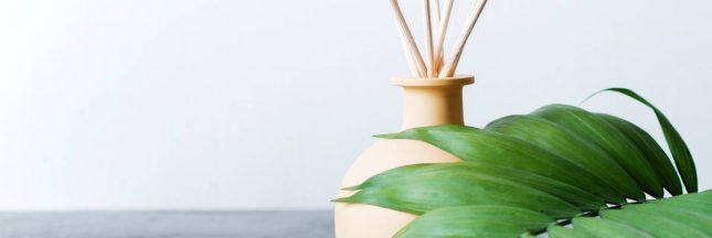 Parfum naturel pour l'intérieur