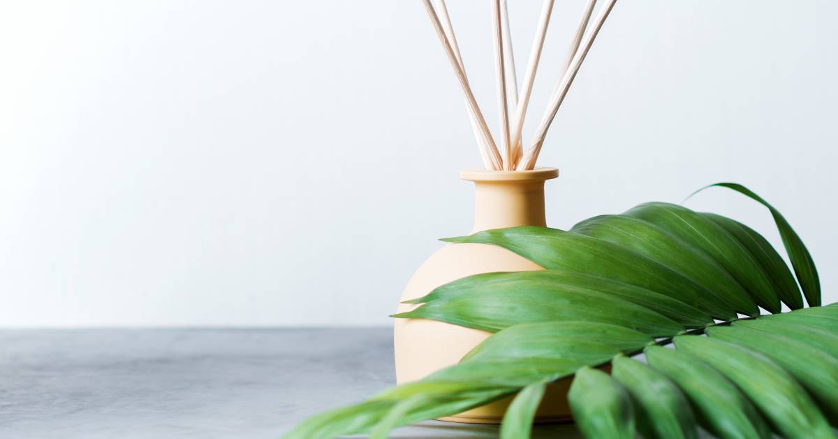 Comment parfumer naturellement son intérieur ? Comment parfumer naturellement son intérieur ?