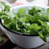 Le pourpier, un légume oublié aux multiples bienfaits