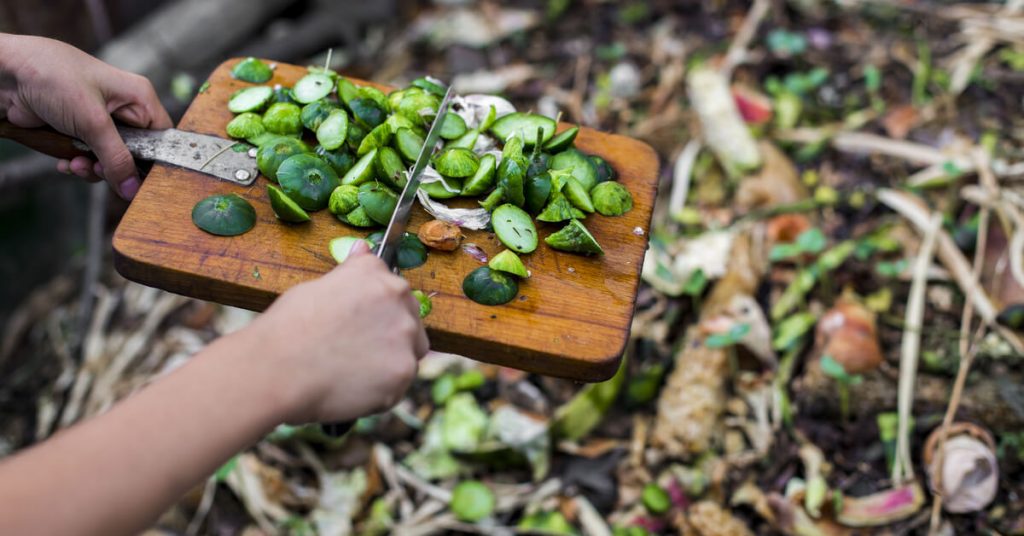 Compost : comment se débarrasser des moucherons ?