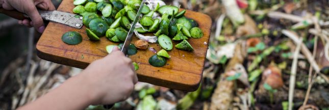 que mettre dans le compost