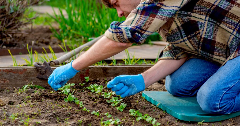 Jardinage de printemps : que planter au potager et au jardin en mai ?