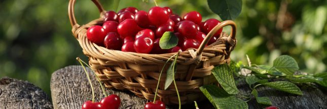 quoi planter en juin