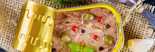 recette thon en boîte