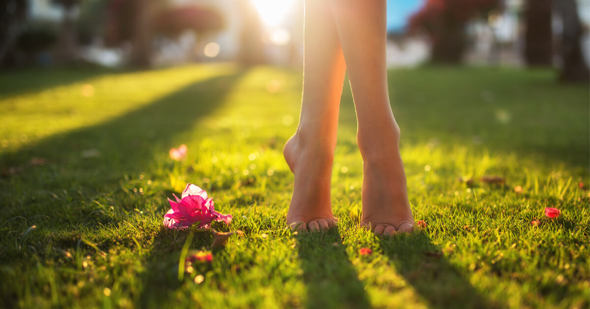 J'arrête de tondre la pelouse à tout bout de champ