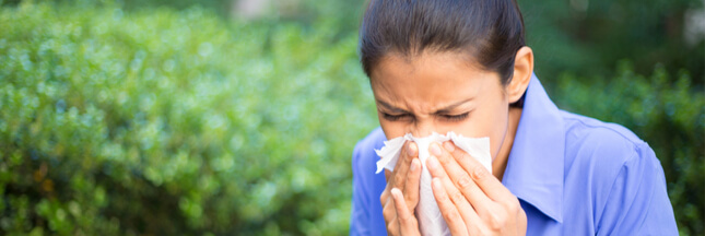 Allergie au pollen : la France est en alerte rouge