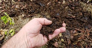 Faire un compost, c'est écologique et très bon pour le jardin