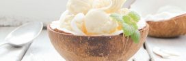 Comment fabriquer de la glace vegan : ingrédients et techniques Comment fabriquer de la glace vegan : ingrédients et techniques