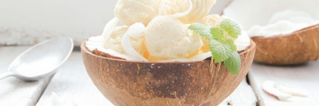 une glace vegan maison