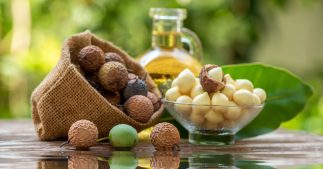 L'huile de calophylle, un véritable trésor pour la peau L'huile de calophylle, un véritable trésor pour la peau