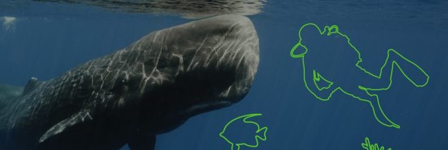 journée mondiale de l'environnement