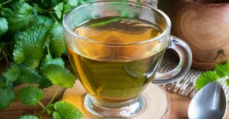 Découvrir la mélisse et ses vertus Découvrir la mélisse et ses vertus