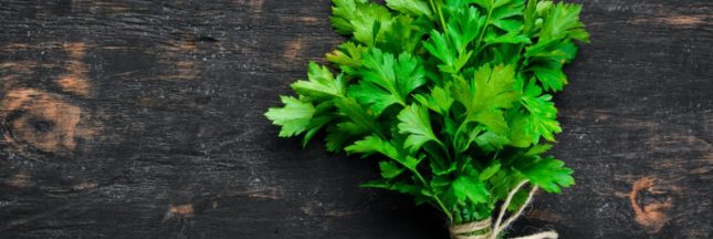 Recettes bio avec du persil