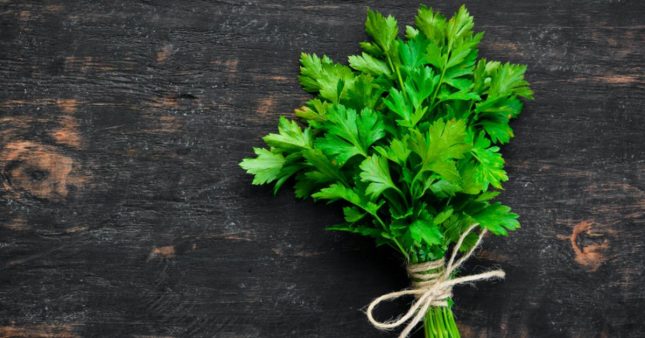 5 recettes bio très faciles à réaliser avec du persil