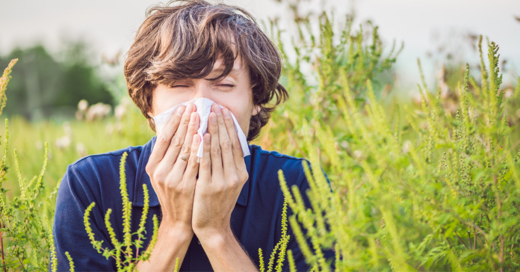 Alerte pollens en France : les départements concernés