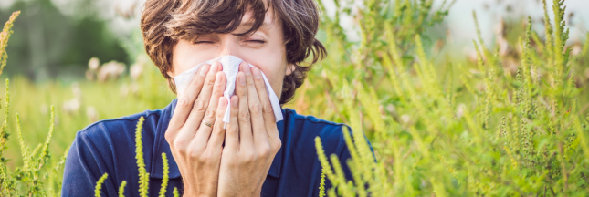 aliments anti-allergiques