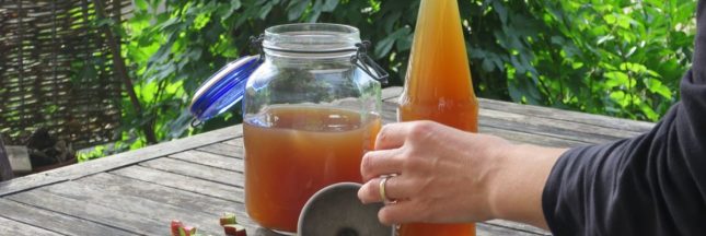 Jardin bio : les différents purins et leurs multiples usages, tout savoir