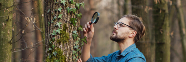 Botanique : testez vos connaissances grâce à The Plant Game