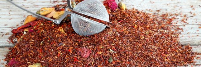 Préparez l'été en beauté avec le thé rouge (ou rooibos) !
