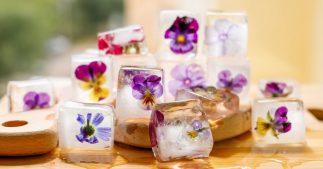 Des glaçons floraux pour une peau tonique !