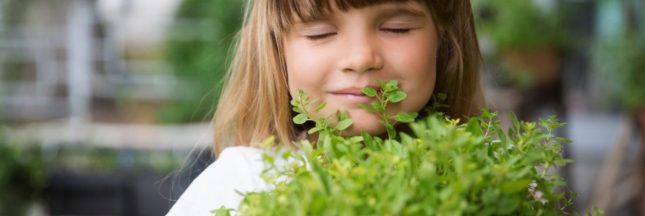 Quelles sont les règles de base de la diversification alimentaire ?