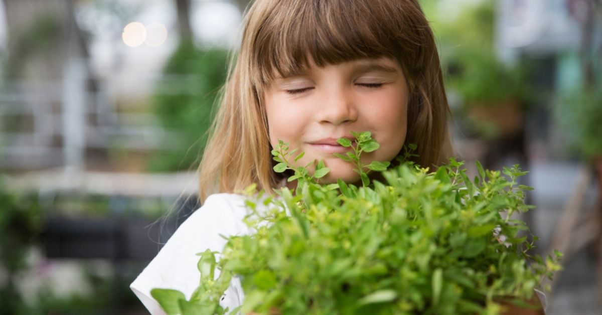 Biscuits, sirop, confiture… Jardinez et dégustez les herbes de l’été avec les enfants !